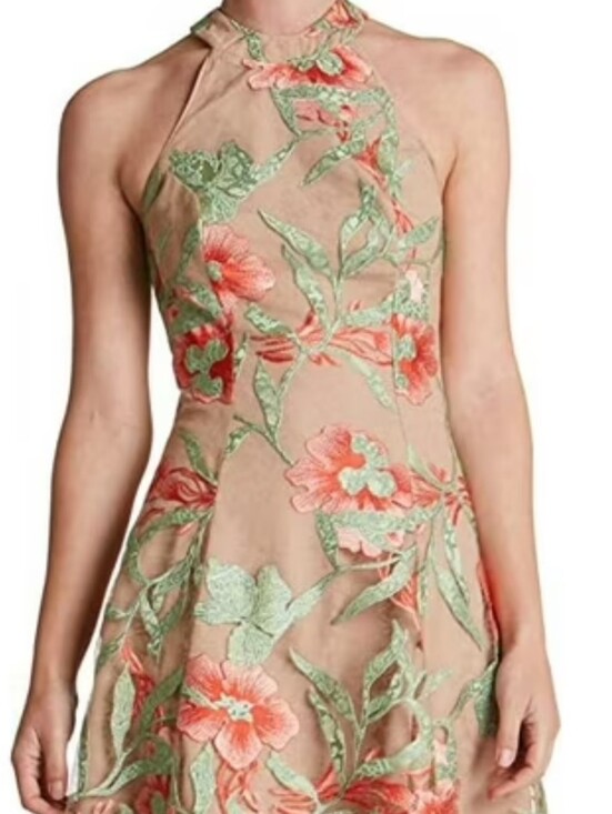 Dress the Population Dresses & Skirts - Dress The Population Abbie Floral Halter Dress Skater Coral Beige Lace Medium